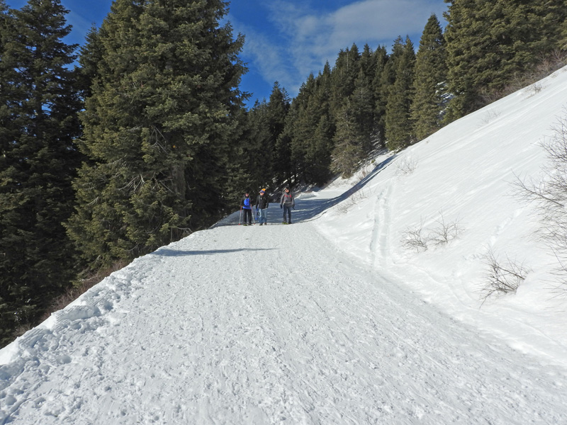 n_X2019-01-14 1151 Lots of others on trail this nice day.jpg